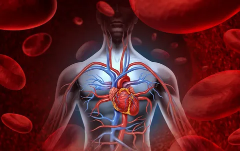 Cardiovascular Health