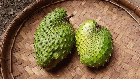 soursop